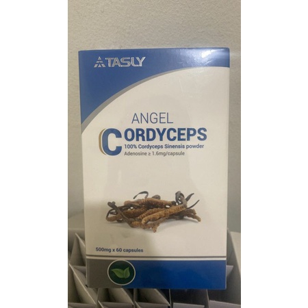 Angel Cordyceps Tasly Original 60 Kapsul