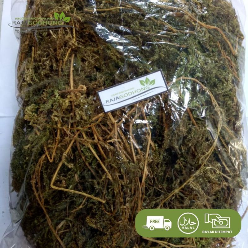 

daun cakar ayam kering berkualitas 500 gram dan 1 kg