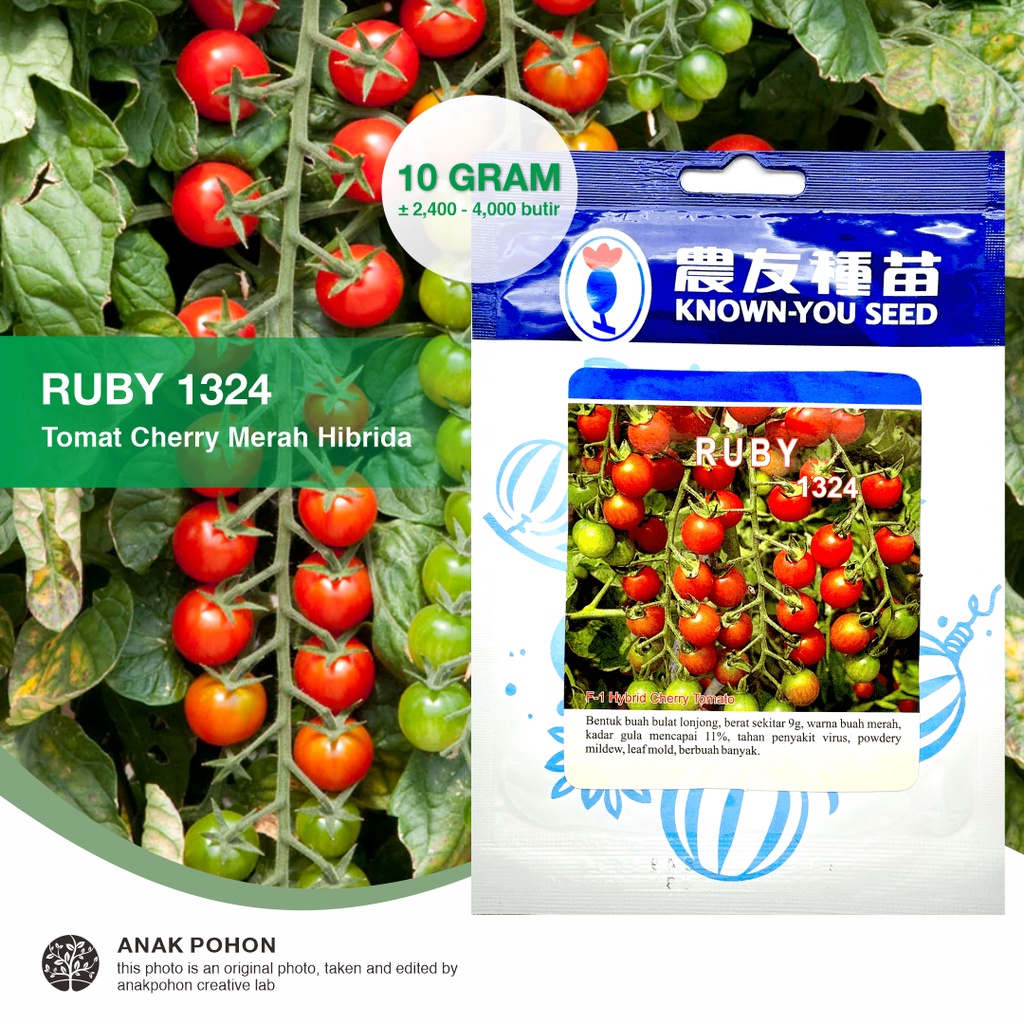 (1 PACK) Benih Tomat Ceri Merah Mini RUBY Hibrida F1 Red Cherry Tomato Seeds - Known You Seed KYS - 10 GRAM