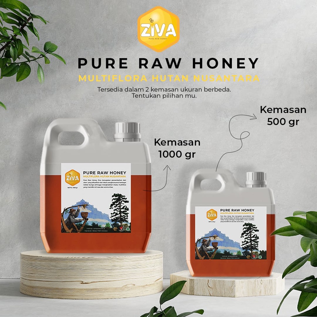 Madu Ziva Pure Raw Honey Gratis Emas Mini Gold - Madu Asli 100% Tanpa Campuran Murni Original Dari Lebah Hutan Multiflora Nusantara Kualitas Super Terbaik Dan Bagus Untuk Kesehatan