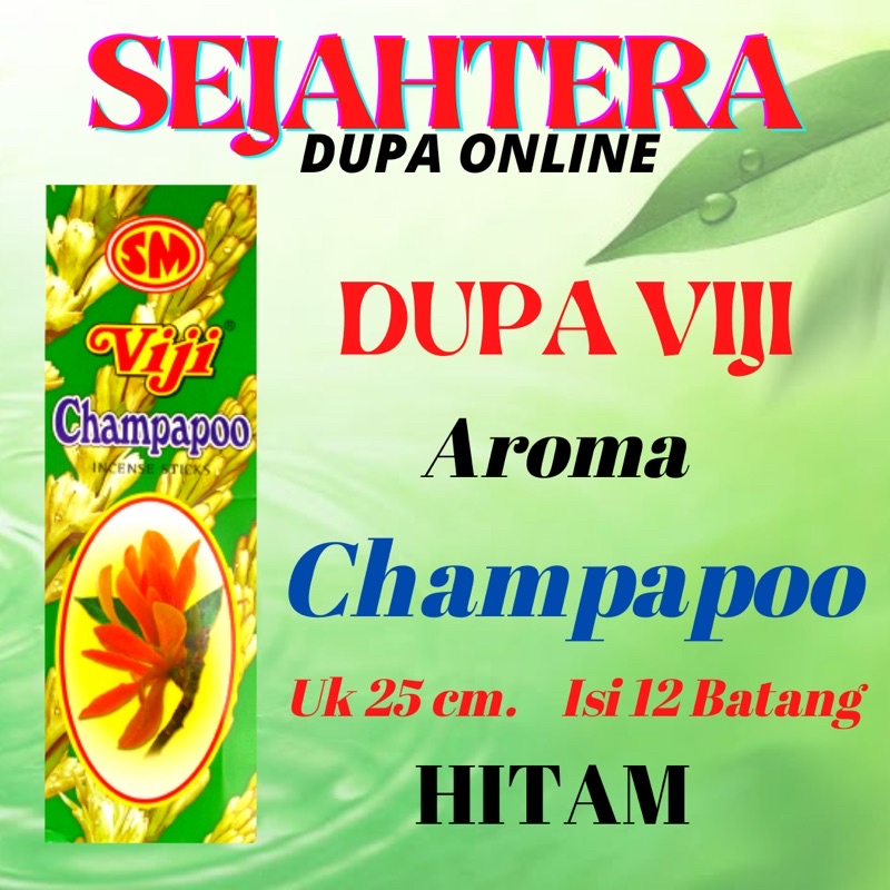 Dupa Hio Viji “Champapoo” Uk 25cm 12 btg