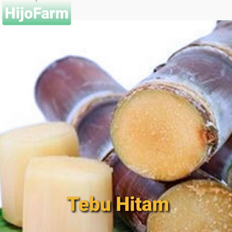 

Tebu Hitam / Tiwu Ireng Segar 500 gr