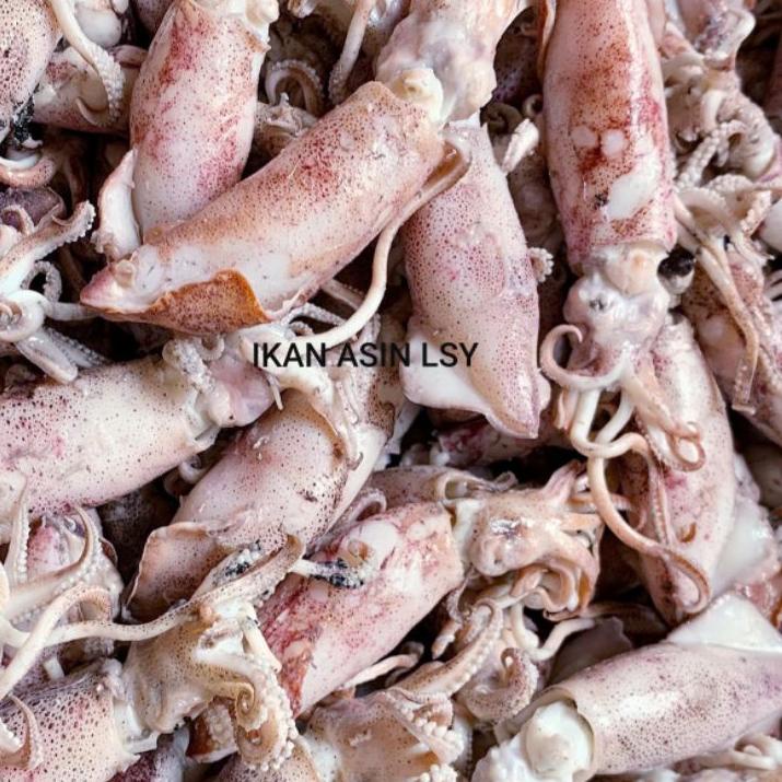 

Terbaik ikan asin cumi rebus/sotong rebus size jumbo 500gr ✔