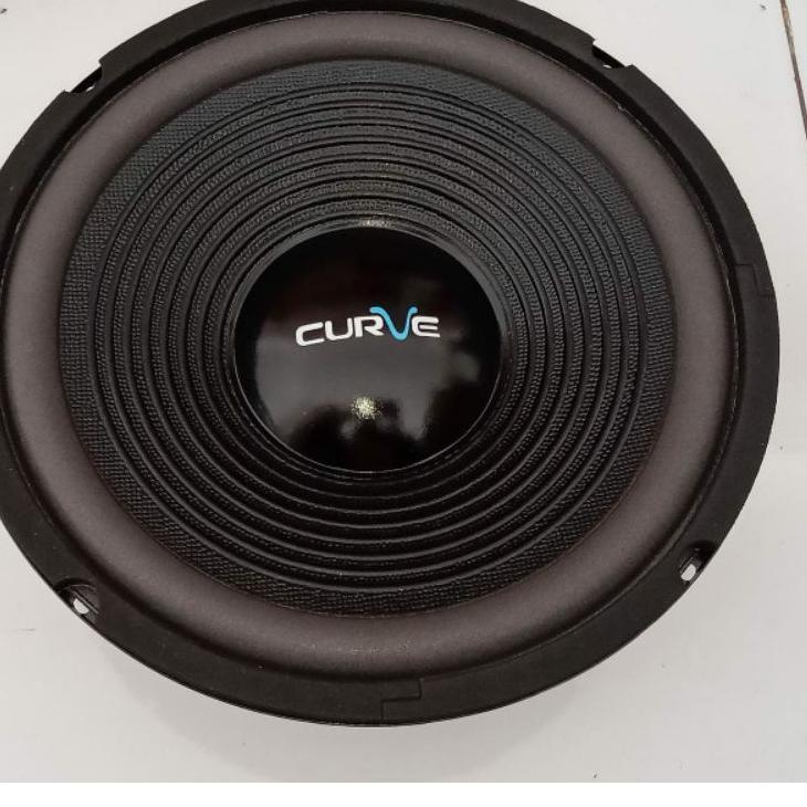 limited Edition✔️Speaker Woofer 10 Inch Curve 25H100SUWPP|SQ3