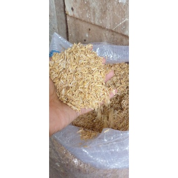 SEKAM PADI / MEDIA TANAM /SEKAM KERING 100 G