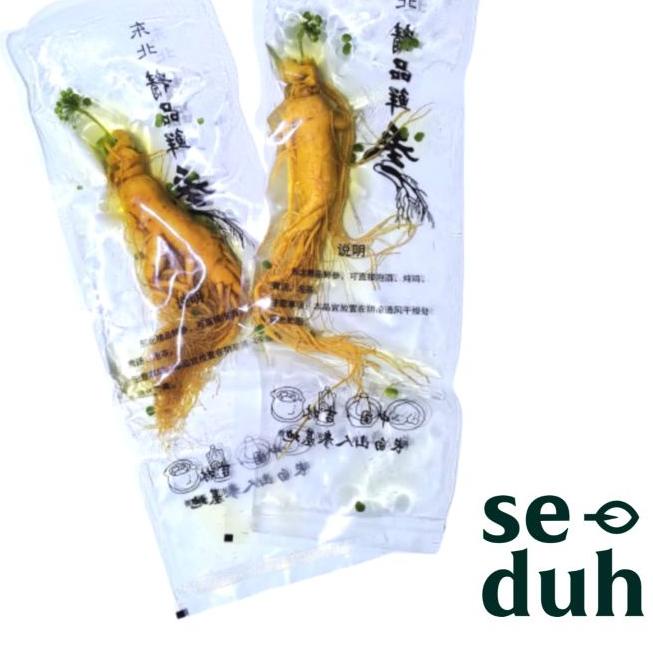 

Quality Control✅Ginseng Segar ukuran besar 200 gram / Fresh Ginseng root vacuum pack|SQ2