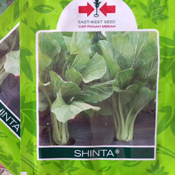 

Harga Potongan Benih Sawi Caisim Shinta