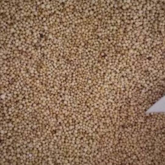 

✨STAR✨ Ketumbar per 1 kg !!