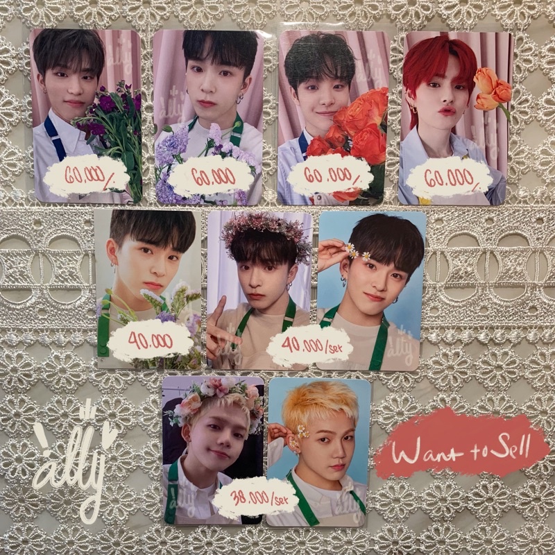 BLOOMING TREASURE: RPC, TINCASE, BINDER