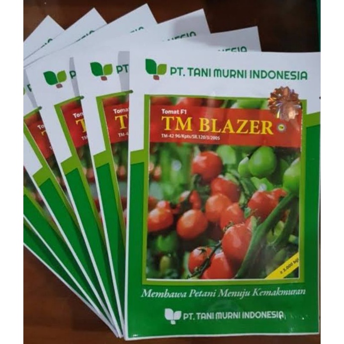 BENIH TOMAT TM BLAZER F1/10 GRAM