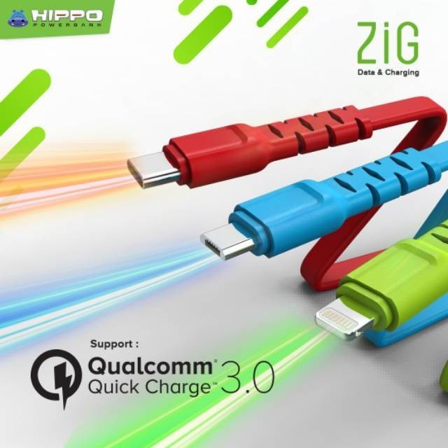 

HIPPO CHARGING & DATA CABLE ZIG TYPE-C 100CM