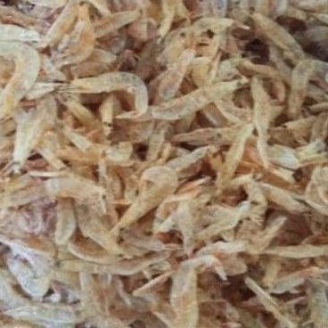 

₽ Udang Rebon Kering Tawar ↞