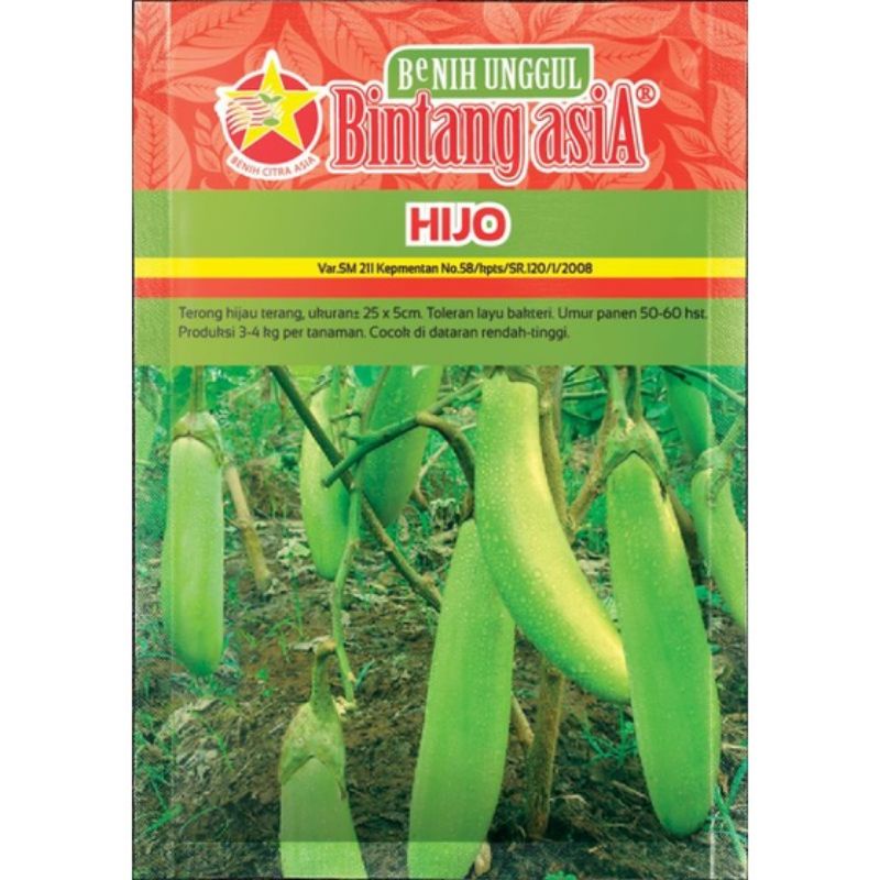 TERMURAH - BENIH TERONG IJO/HIJAU - BIBIT TERONG HIJO BINTANG ASIA