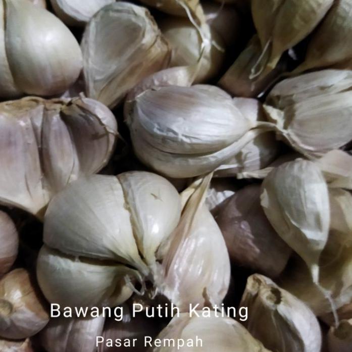 

POPULER Bawang Putih Kating 500gram 04J''