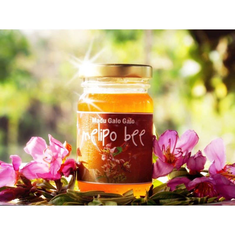 

Madu Asli 100% Original Galogalo/kelulut/trigona