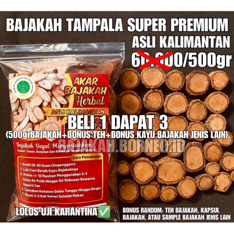 

BAJAKAH 500gr TAMPALA SUPER ASLI KALIMANTAN OBAT KANKER TUMOR BENJOLAN