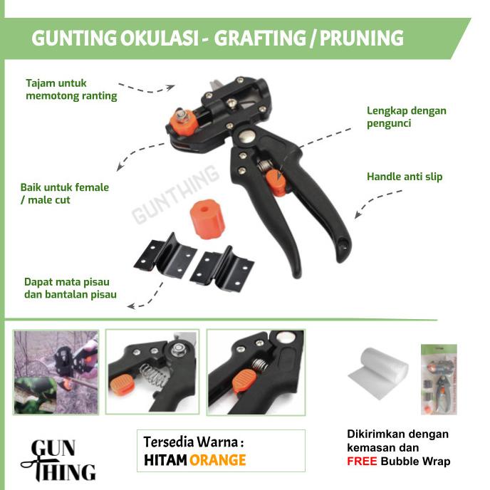 Gunting Okulasi / Gunting Stek Sambung Tanaman / Grafting Pruning
