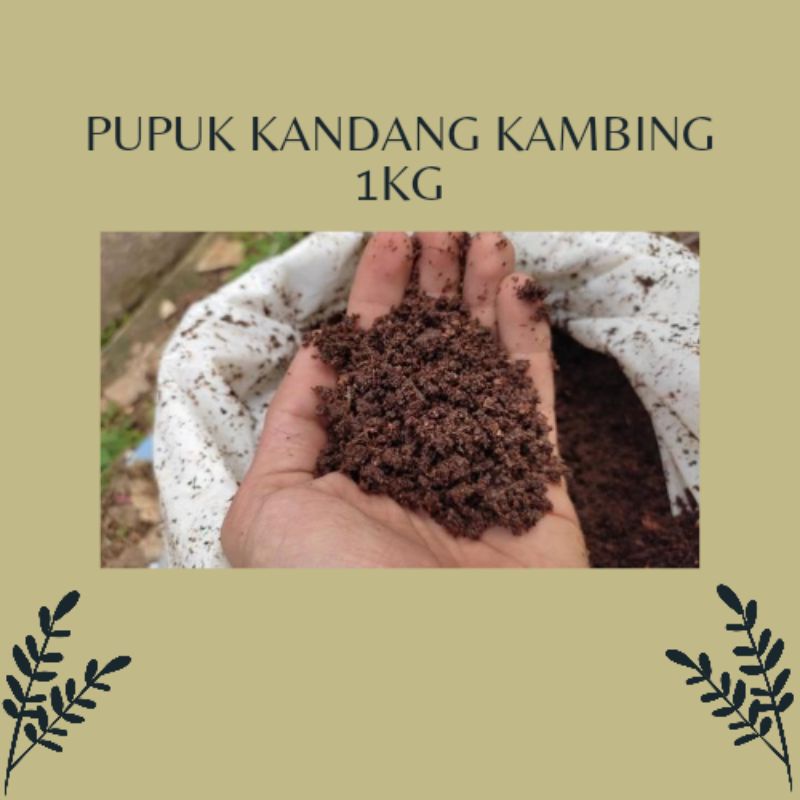 pupuk kohe kambing fermentasi 1 kg