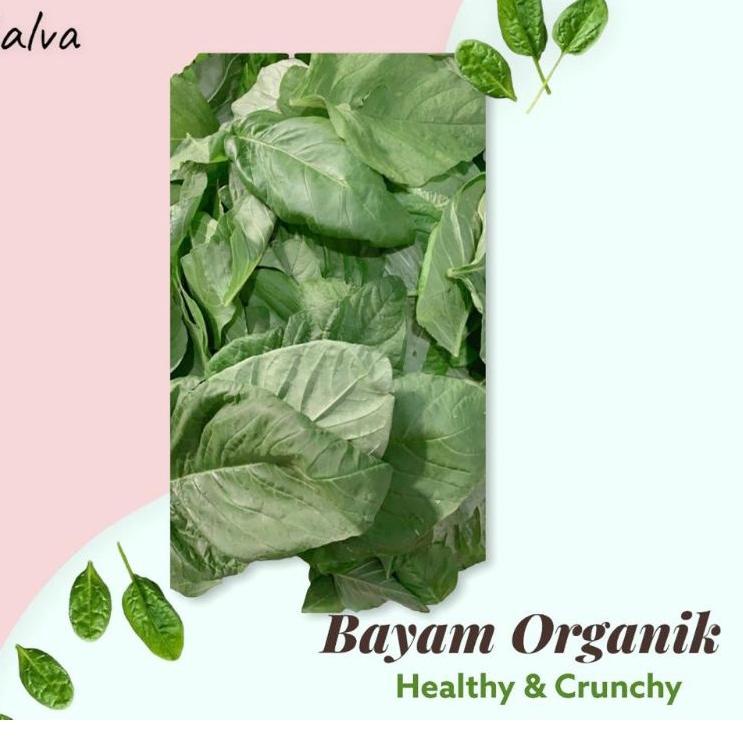 

Sikat Habis--Kripik Bayam Organik Home Made (Non Pestisida)