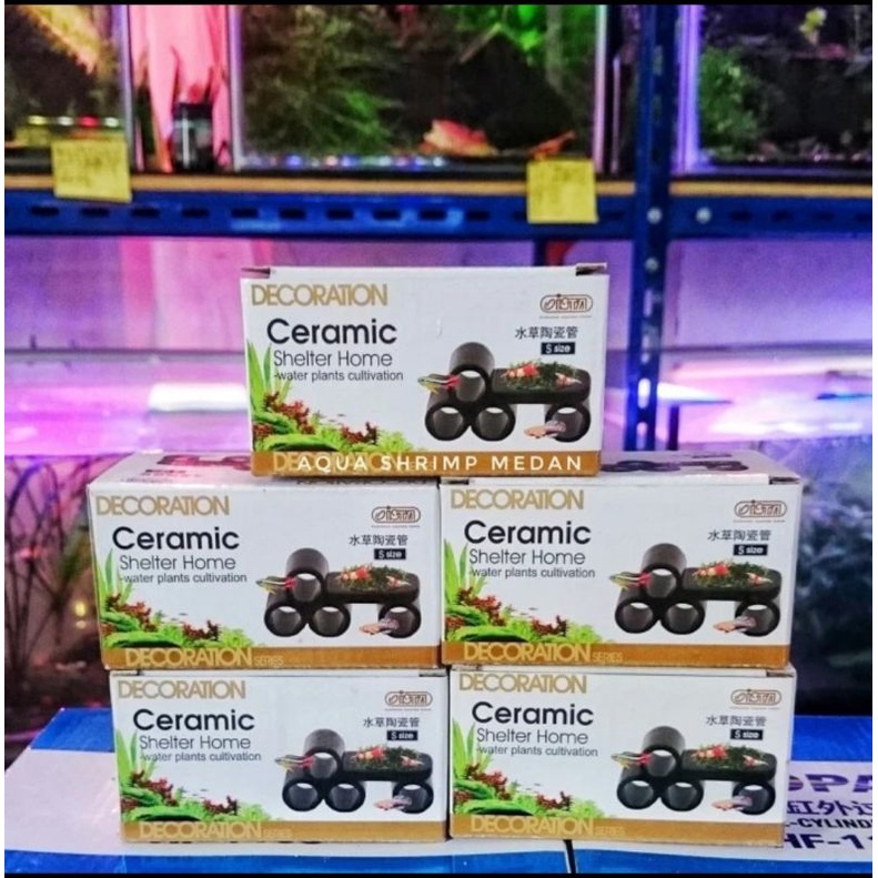 Ceramic Shrimp Shelter Ista