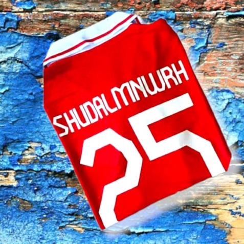 Kaos bola anak setelan timnas 2022 terbaru