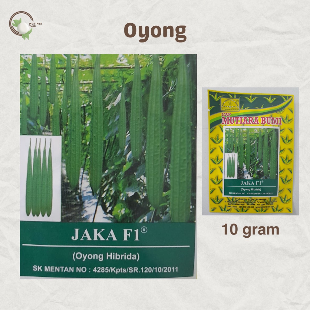 BENIH OYONG JAKA F1 CAP MUTIARA BUMI | 10 gram