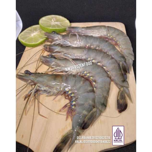 

Udang Pancet Sedang