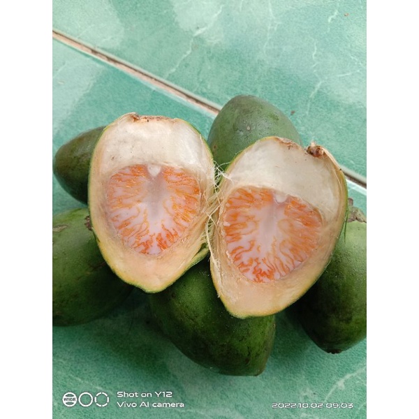 

Buah pinang muda atau buah jambe segar paket 250 gram