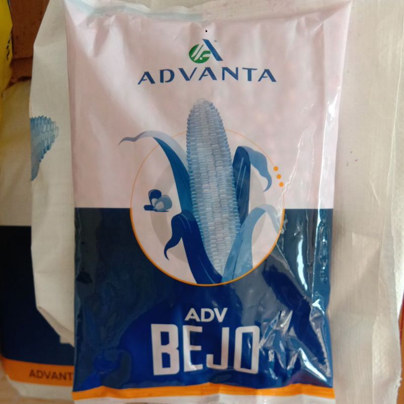 Benih Jagung ADVANTA BEJO