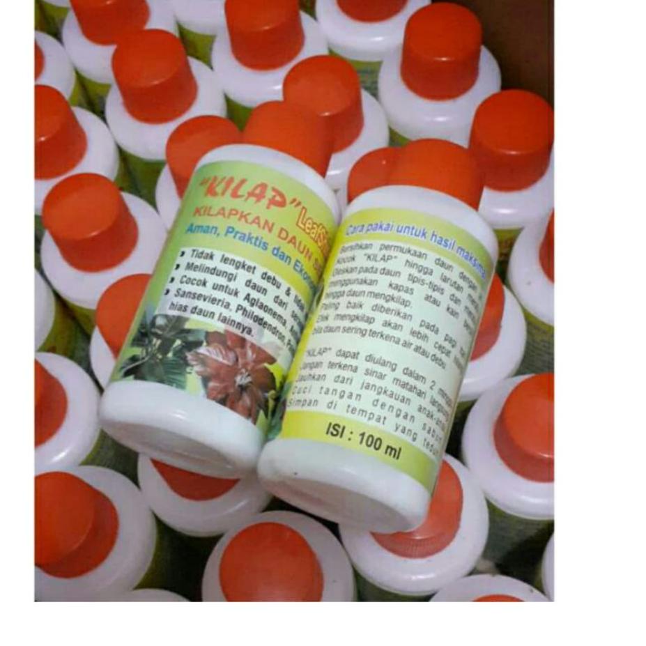 Booming--Kilap daun leafshine/pengkilap daun aglonema
