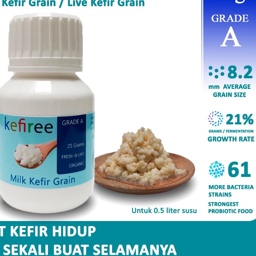 

HARGA GROSIR BIBIT KEFIR HIDUP / KEFIR GRAIN 100% (FRESH ORGANIC) GRADE A - KEFIREE !!