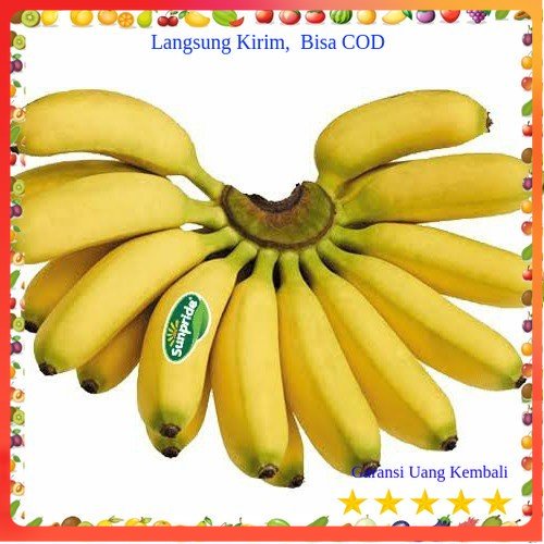

Pisang Cavendish 1 Sisir Buah Buahan Bersih Fresh