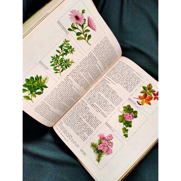 ENCYCLOPEDIA OF GARDENING LAWNS AND GROUND COVERS - THE TIME LIFE ENCYCLOPEDIA OF GARDENING