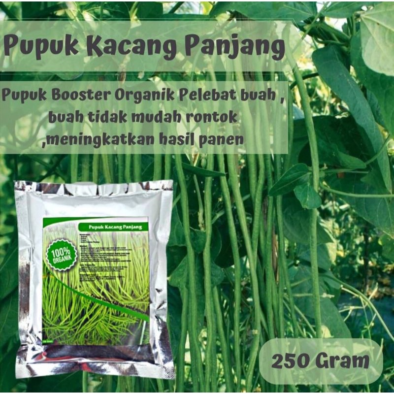 Pupuk Organik Penyubur Tanaman Kacang Panjang Nutrisi Kacang Panjang