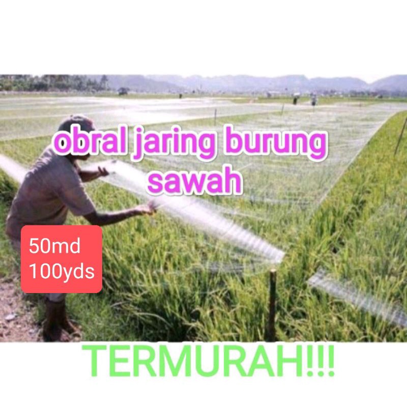 Jaring burung, Jaring padi, Jaring sawah, jaring emprit, jaring pipit, 0.12 3&quot; 50md/100yds