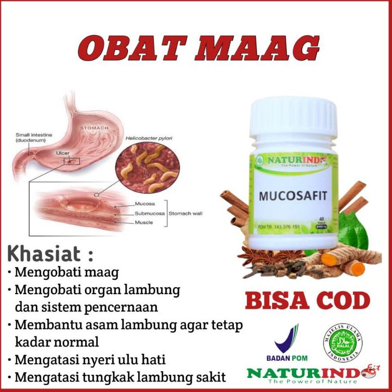 Obat Sakit Asam Lambung Maag Begah Sendawa Obat Herbal Sakit Maag Obat Asam Lambung Maag Kronis Obat