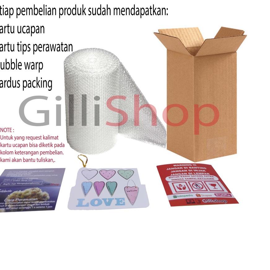 

Import Terlaris Bunga Abadi/Kado Unik/Kado ulang tahun/kado valentine serbuuu !