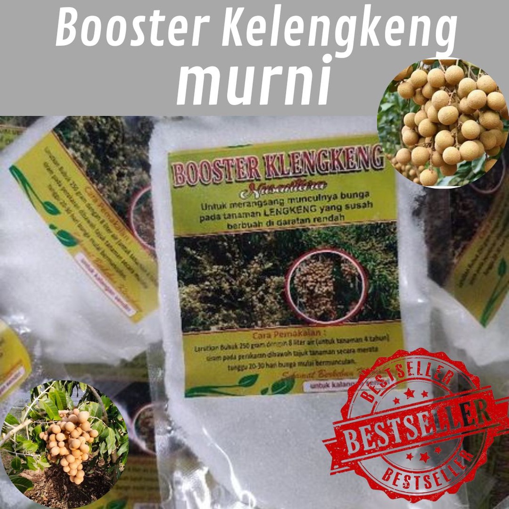 TERJAMIN Booster Kelengkeng 250gr /Booster Kelengkeng Tabulampot / Booster Kelengkeng Nasa / Booster