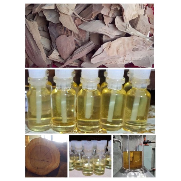 Minyak Sulingan Cendana Wangi