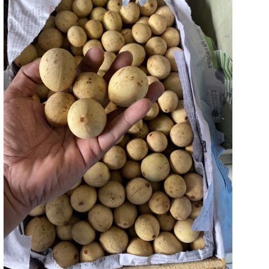 TERLARIS buah duku palembang manis fresh 1kg (pengiriman daerah jakarta) ??