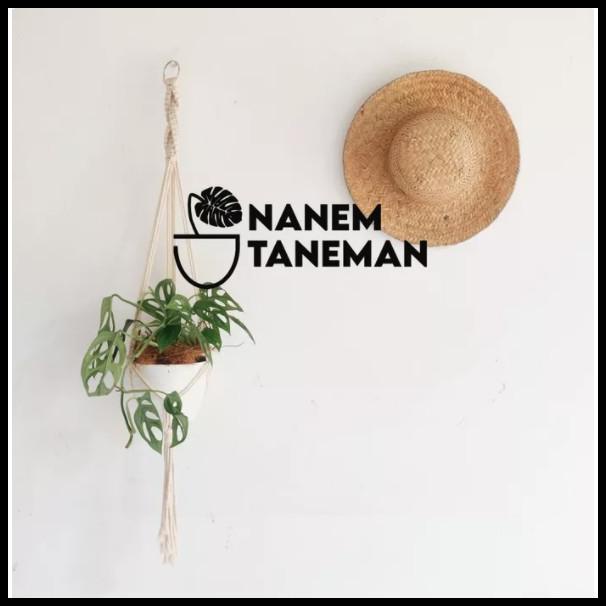 Nanem Taneman - Hanging Planter Macrame - Cotton Asli - Gratis Pot Dan Tanaman Janda Bolong (1 Paket)