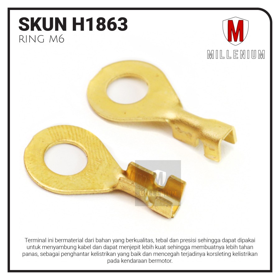 TERMINAL SKUN BULAT RING M6 / SKUN BULAT AKI M6 - 300 / PAKET 100PCS