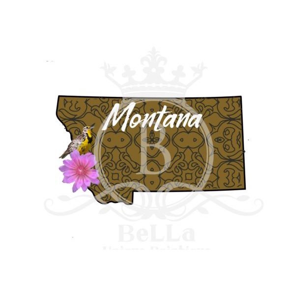 Montana Awesome America Series