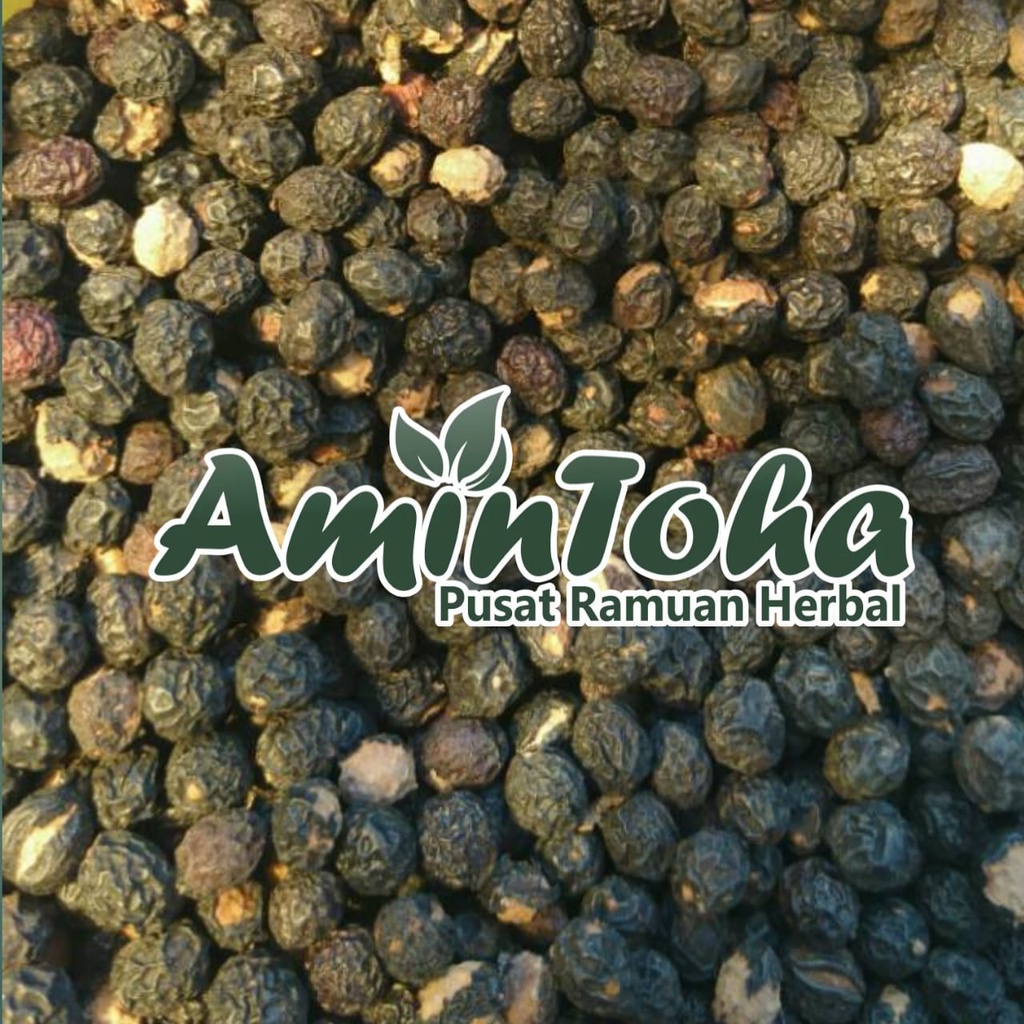 BIJI KWALOT | WALOT | MALUR | MELUR KERING BUAH MAKASSAR 100 GRAM HERBAL DIABETES ANTIKANKER ALAMI