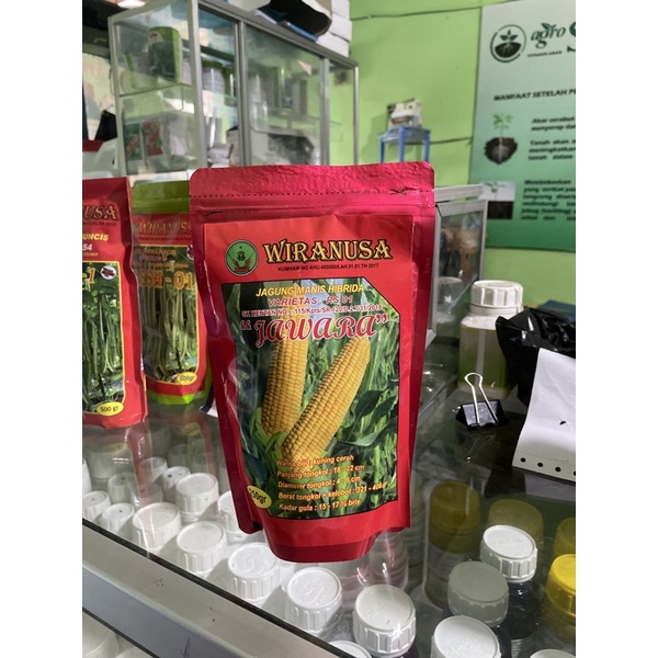 JAGUNG MANIS F1 500 GR PRODUKSI TINGGI