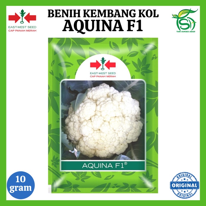 Benih Kembang / Bunga Kol AQUINA F1 10 Gram - Bibit Cap Panah Merah