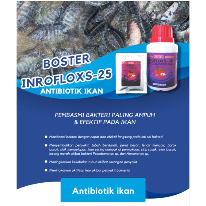 inroflox 25 100 gram serbuk-boster inroflox-25