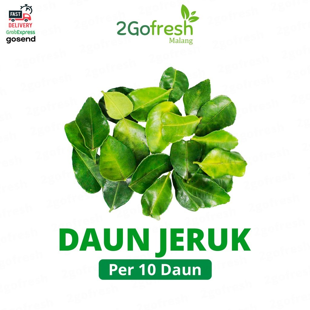 

Daun Jeruk Fresh - Sayur Sayuran