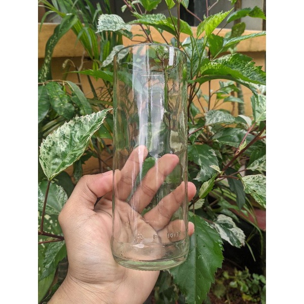 soliter tabung kaca / tempat ikan cupang / tempat ikan hias