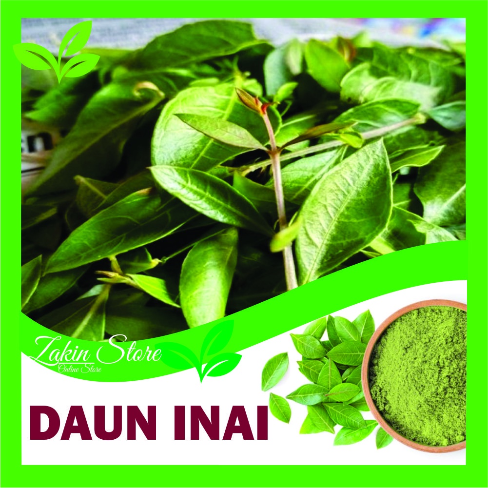Daun Pacar / Daun Henna Segar / Daun Pacar Arab / daun inai